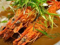 -CURRY YA 熟成咖哩專門店(深圳湾万象城店)