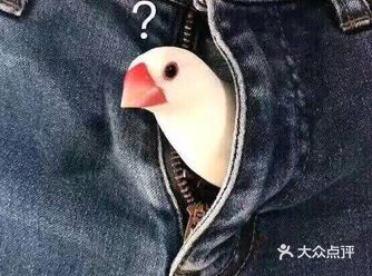 安静，安静，安静。重要的事多说几遍。 位置十分便利房