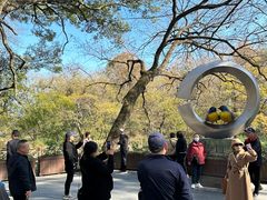 -婺源月亮湾