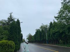 -日照海滨国家森林公园