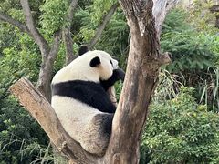 -宁波野生动物园