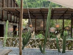 -MOJ coffee(瓯海泽雅水碓坑店)