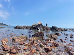 -西涌国际滨海旅游区