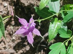 -白草畔自然风景区