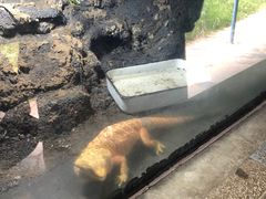 -合肥野生动物园