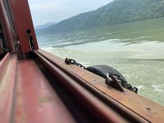 -严子陵钓台(富春江小三峡)