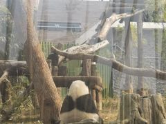 -武汉动物园