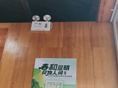 -春风习习