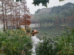 -重庆彩云湖湿地公园