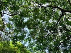-广州神农草堂中医药博物馆