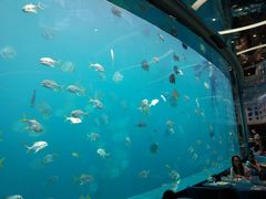 -瑞德姆美人鱼海底演艺主题餐厅(亚龙湾店)