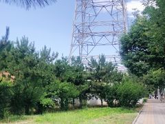 -大兴滨河森林公园