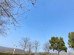 -钟山体育运动公园