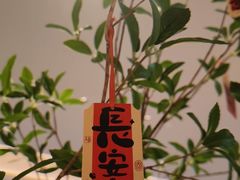 -南堂馆·新川菜(春熙路店)