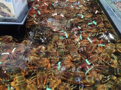 -盒马鲜生(皇庭广场店)