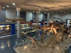 -国家自然博物馆