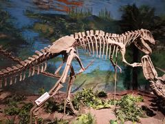 -自贡恐龙博物馆