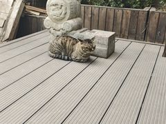-正阳书局(西四南大街店)