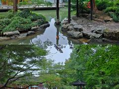 -杭州植物园