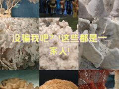 -中国湿地博物馆