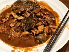 -泰康之家·申园