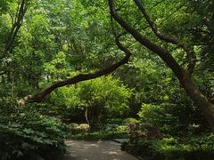 -杭州半山国家森林公园