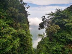 -峨眉山风景名胜区