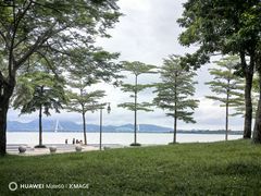 -深圳湾公园(南山区)