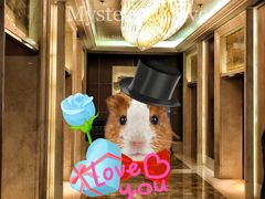 -上海雅居乐万豪侯爵酒店