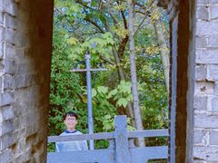 -上海佘山国家森林公园天马山园