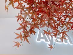 -艾薯夫妇Aysh(福田星河COCOPark店)