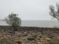 -上海吴淞炮台湾国家湿地公园