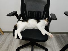 -艾吉宠物医院·疑难杂症转诊中心·猫友好(碧江路院)