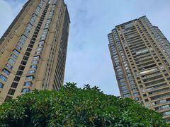 -重庆市江北嘴中央商务区中央公园