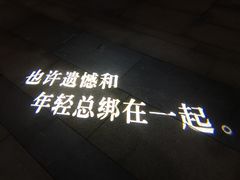 -映月湖中央公园