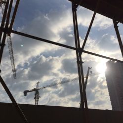 -上海交通大学医学院附属上海儿童医学中心(陆家嘴总院区)