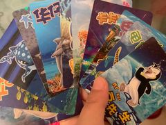 -珠海长隆海洋王国