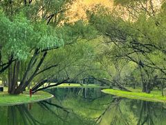 -上海共青森林公园