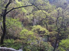 -泰山风景名胜区