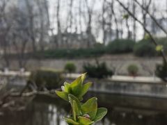-元大都城垣遗址公园