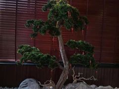 -大桶大足浴(汇臻店)