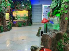 -上海大自然野生昆虫馆(东方明珠·爬宠昆虫探索中心)