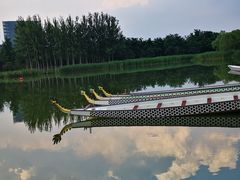 -大兴滨河森林公园