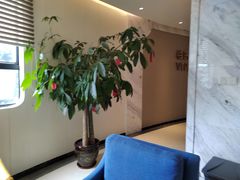 -柏乐口腔医院·舒适化无痛种植牙中心(东盟商务区院)