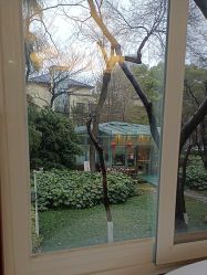 -南京医科大学友谊整形外科医院