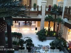 -太湖饭店玉兰厅(自助餐厅)