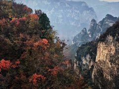 -云台山风景名胜区