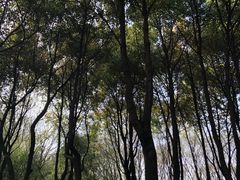 -自然谷恐龙园