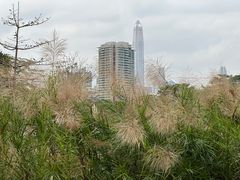 -福田红树林生态公园