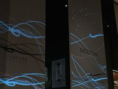 -MEDISN·药厂